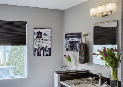 Whitefish Bay Contemporary Main Bath