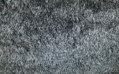 Pros & Cons of Carpeting in the Bedroom