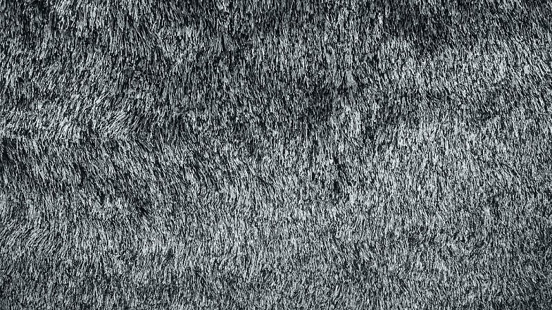 Pros & Cons of Carpeting in the Bedroom