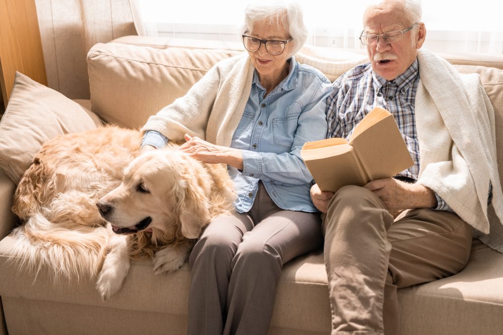 Aging-in-Place Seniors