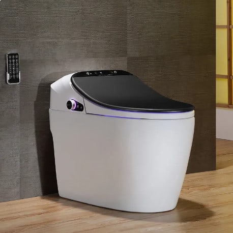 Smart Toilet